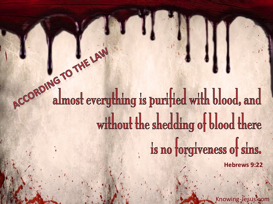 Hebrews 9:22 No Forgiveness Without The Shedding of Blood (red)